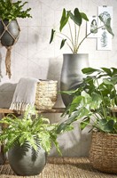 Plantenmand Mica Avalon zeegras rond 31x30cm lichtbruin-3