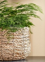 Plantenmand Mica Avalon zeegras rond 26x26cm lichtbruin-1