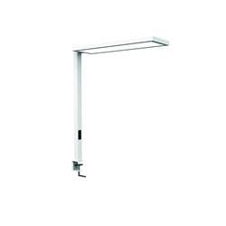 Werkpleklamp tafelklem MAUL Senja LED beweging- daglichtsensor dimbaar wit