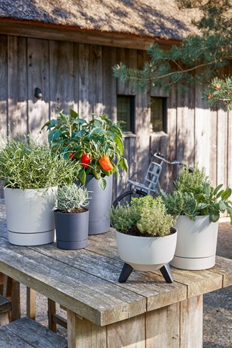 Plantenpot Mica Coco met schotel rond hoogte 29,5 Ø28 cm beige-2