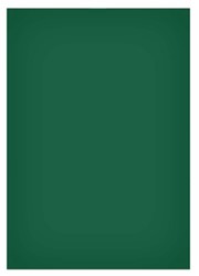 Magneetvel MAUL 200x300mm groen beschrijf- wisbaar en te knippen