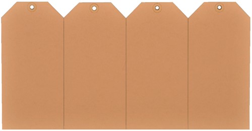 Label karton nr 9 200gr 75x150mm chamois 1000 stuks-2