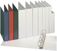 Presentatieringband Esselte panorama A4 4-rings D-mechaniek 30mm PP wit-2