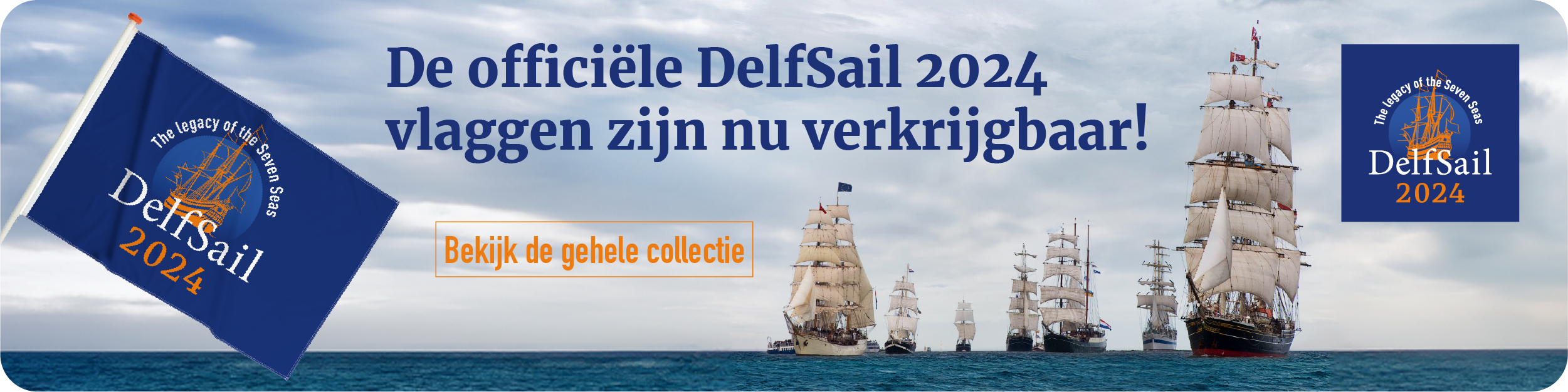 delfsail banner homepage