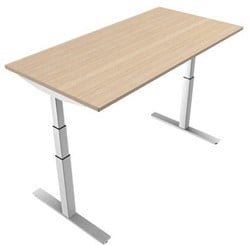 Matrix Pro Single Frame Zit-Sta Bureau